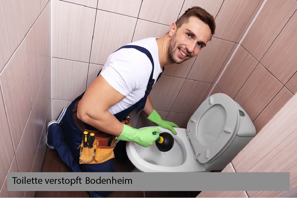 Toilette verstopft Bodenheim
