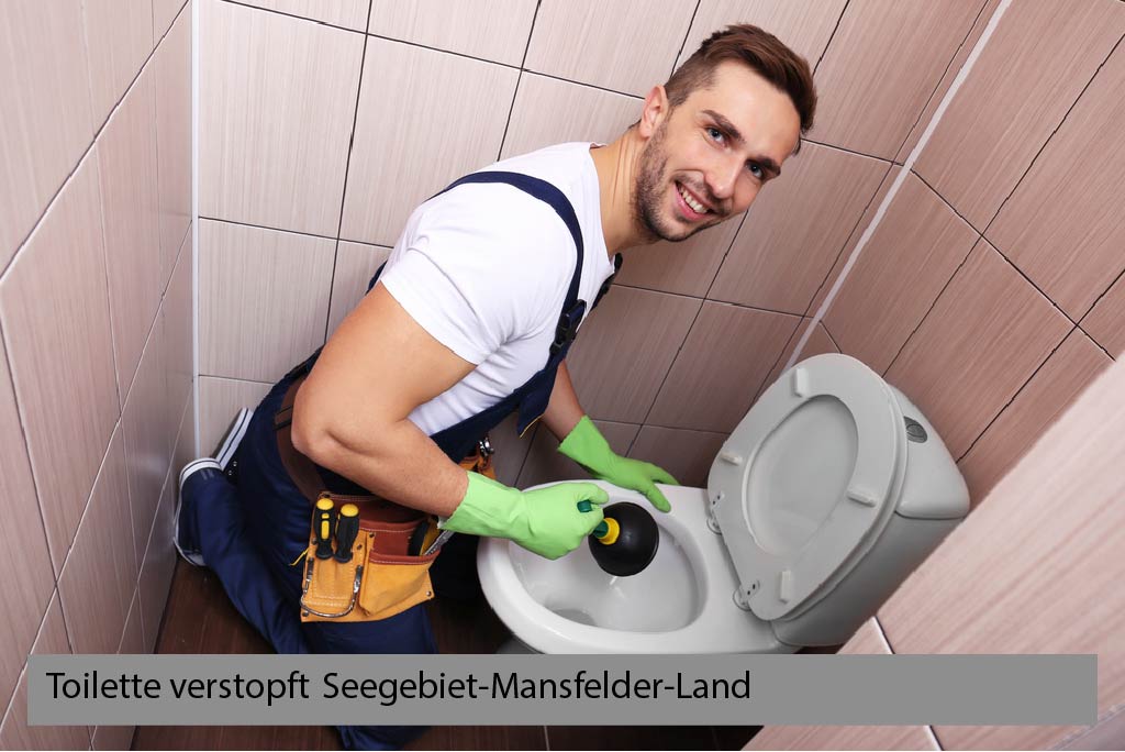 Toilette verstopft Seegebiet-Mansfelder-Land